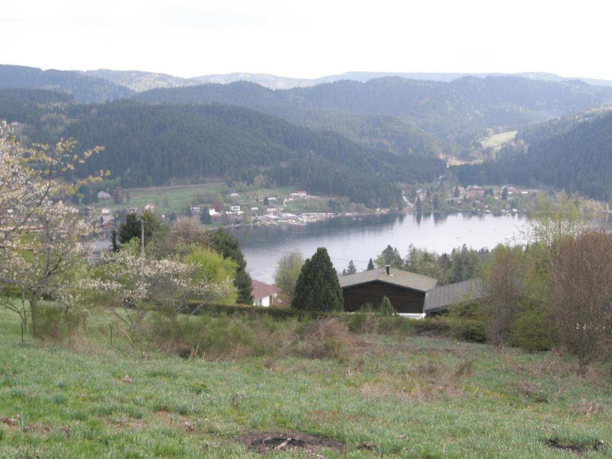 Chalet Biazot Xonrupt-Longemer Exterior photo